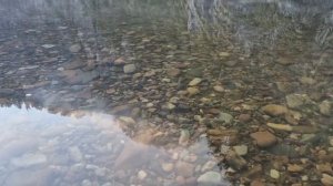 Таисия Филиппова | ТОЧКА.РФ – МЕСТО | Республика Башкортостан