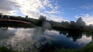 Рыбалка на платном пруду. Осуществили мечту сына