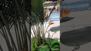 Путешествия и отдых.Аэро-термы в городе Брянск.Серия7.mp4