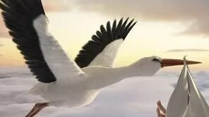 Я подкидыш. смотреть онлайн