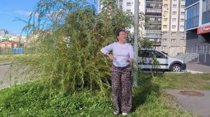 Баланс и в конце тренировочное выполнение с мамой и ребенком