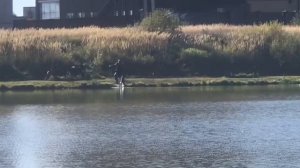 ещё одна форель в подсаке