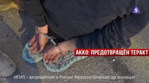 План Трампа по Газе | Предотвращен взрыв в Акко | День памяти жертв в Бабьем Яре // НОВОСТИ 30.09.25