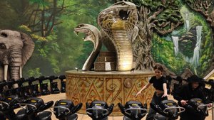 РК Остров Мечты - аттракцион Кобра