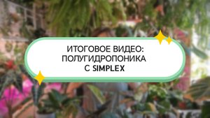 ИТОГОВОЕ ВИДЕО МАРАФОНА ПО ПОЛУГИДРОПОНИКЕ ОТ SIMPLEX