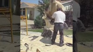 ДикийДачник