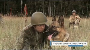 Киноистория.  "Далеко от войны"