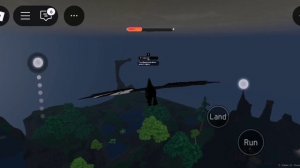 Это видео из roblox который я сама снимала карта жизнь дракона