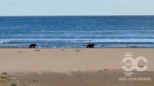 Полезные лайфхаки и интересные эксперименты для веселого развлечения каждый день #лайфхак #полезно #