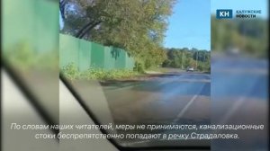 В калужском Балабанове канализация неделю течет по дороге