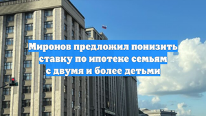 Миронов предложил понизить ставку по ипотеке семьям с двумя и более детьми