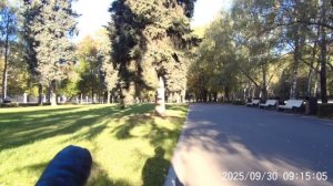 Этнические секс-работницы рассказали о своей жизни и работе борделей в Москве