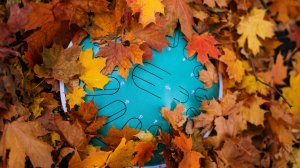 Музыка на глюкофоне New Wave 15