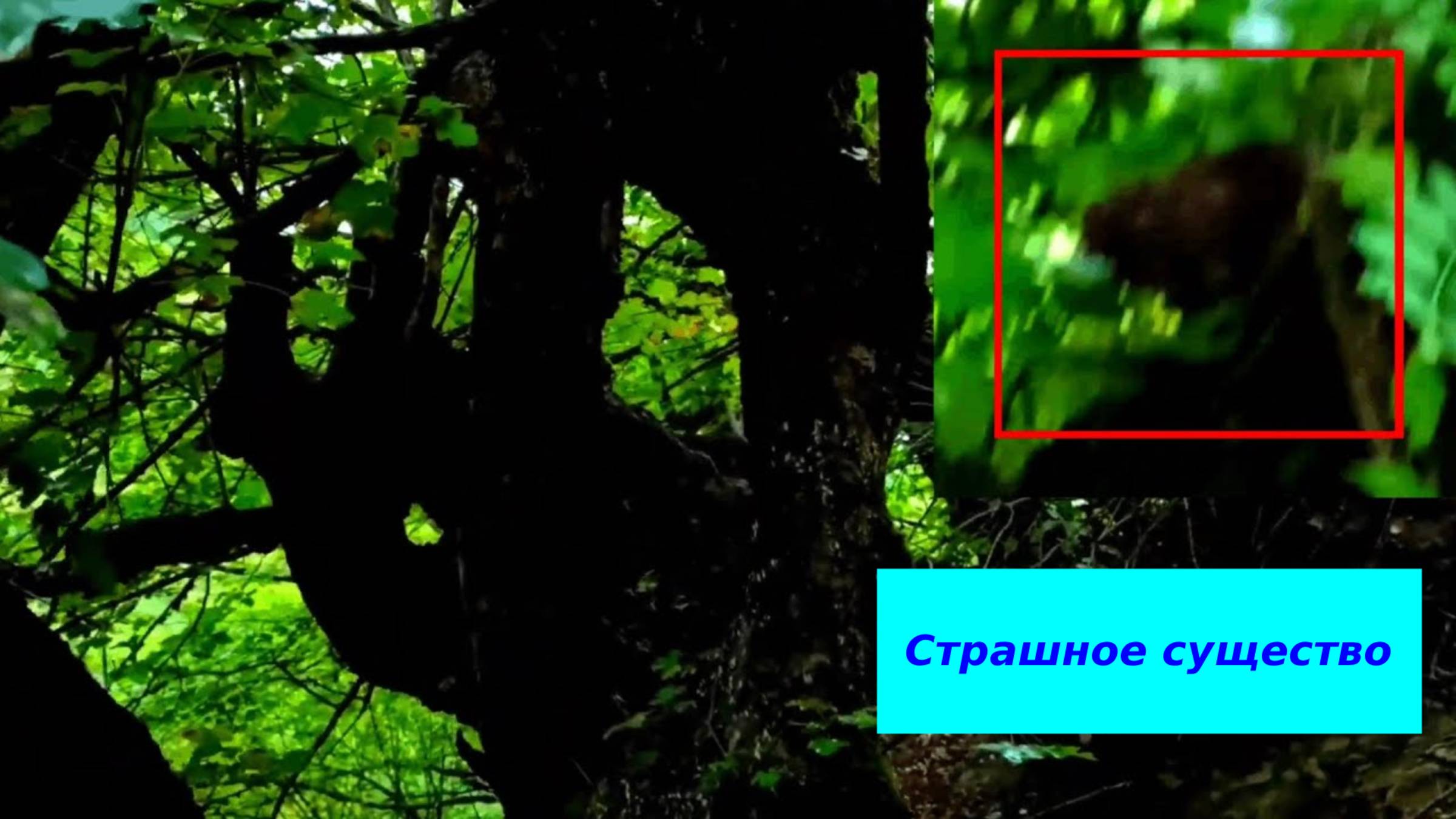 Самые страшные видео снятые в лесу | Снежный человек или Гуманоид смотреть онлайн