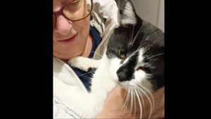 lv_0_20250930220629 Приехала из санатория. Встречаемся с котом Митей