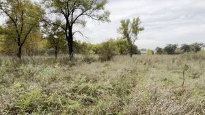 село Бедарево зу1