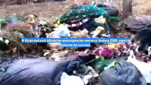 В Курганской области осквернили могилу бойца СВО, крест нашли на свалке