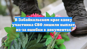 В Забайкальском крае вдову участника СВО лишили выплат из-за ошибки в документах
