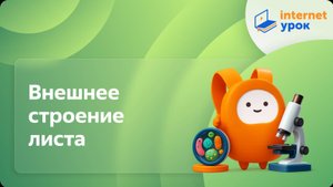 Внешнее строение листа. Видеоурок по биологии 6 класс
