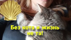 Будни кота. Исправляем стопу.Вешаем светильники от Glarefusion.com