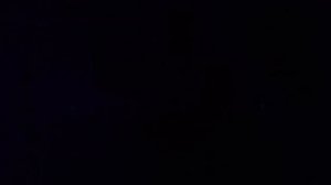 Шоу-номер от ведущей Светланы Винокуровой