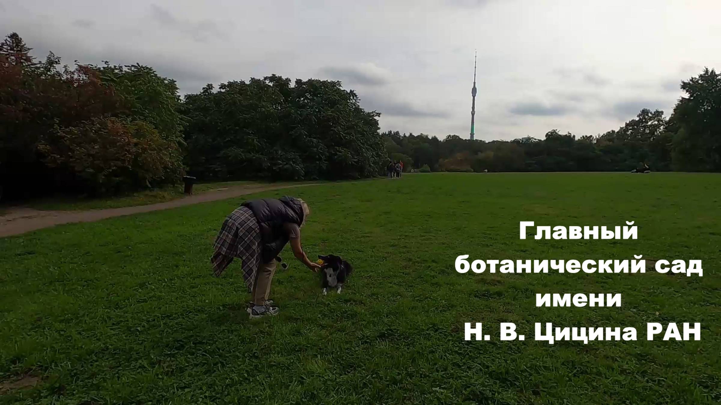 Куда пойти в Москве /Парки Москвы /Ботанический сад