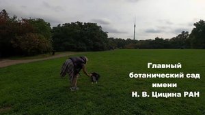 Куда пойти в Москве /Парки Москвы /Ботанический сад