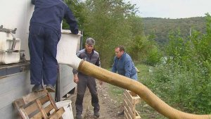 В Сочи в реку Мзымту выпустили тысячи мальков черноморского лосося