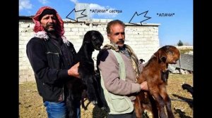 *АПАЧИ* большая семья