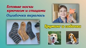 Готовые носки крючком и спицами/груминг и собачки
