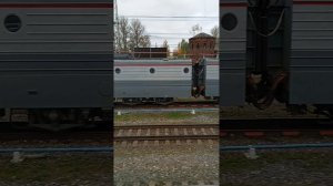 Санкт-Петербург - Москва. Бологое из окна поезда.