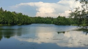 Лето Июнь 2025 парк Юбилейный. Лето машет листиком клена.