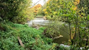 Прогулка по реке в поиске Рыбы.