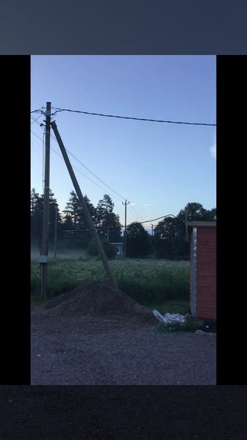 Лето. Погода 25.06.2024. Безоблачно