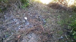 30 СЕНТЯБРЯ БЫЛ ПЕРВЫЙ ЗАМОРОЗОК