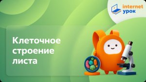 Клеточное строение листа. Видеоурок по биологии 6 класс