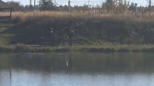 поимка на малом водоёме