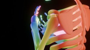 Про сердце и про голову