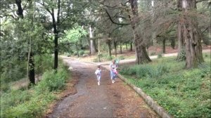 Поездка в Ялту ч4