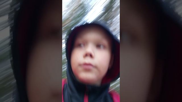 выживание в лесу 1 день