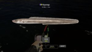 Норвежское море. Приятный сюрприз