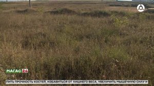 С сентября заработали критерии для изъятия заброшенных земельных участков