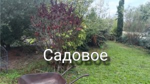 Какие работы в саду в сентябре.