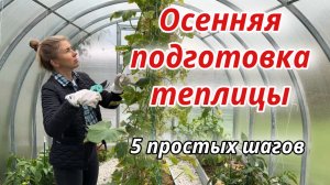 ОСЕННЯЯ ПОДГОТОВКА ТЕПЛИЧНЫХ ГРЯДОК. ЧЕМ ОБРАБОТАТЬ ТЕПЛИЦУ