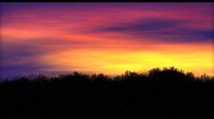 Salvador Candel - Dancing with the Life