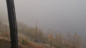 16-18 сентября 2025, грибы все не кончаются
