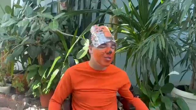 Гандзюк Никита Вышел тигр погулять