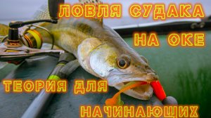 Как поймать Судака на реке? Ловля Судака на реке, Теория для начинающих!