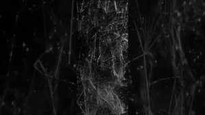 Processor /IDM/Techno #2