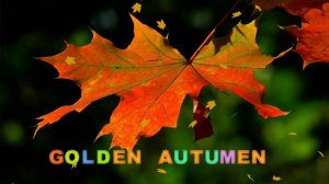 ЗОЛОТАЯ ОСЕНЬ